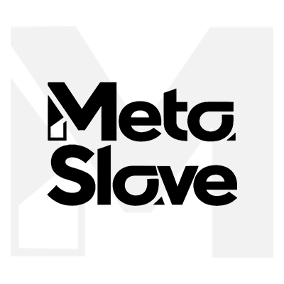 MetaSlave